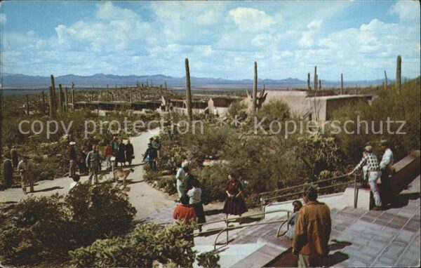 Tucson Arizona Sonora Desert Museum
