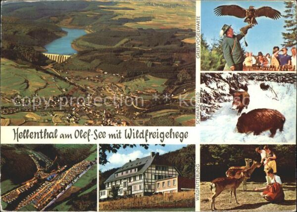 Hellenthal Eifel Olef-See Wildfreigehege Greifvogelwarte