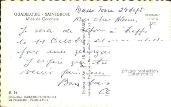 Guadeloupe Allee de Cocotiers Sainte-Rose – Bild 2