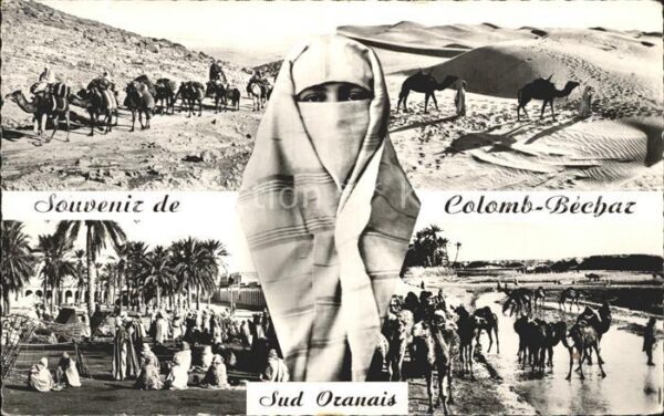 Colomb-Bechar Sud Oranais Camele Dunes de Sable