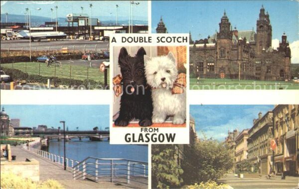 Glasgow A Double scotsch Hunde schwarz und weiß