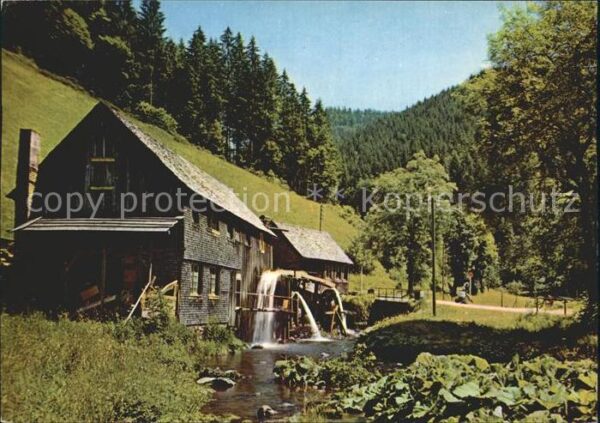 Nagold Wassermühle im Schwarzwald