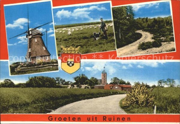 Ruinen Mühle Schafe