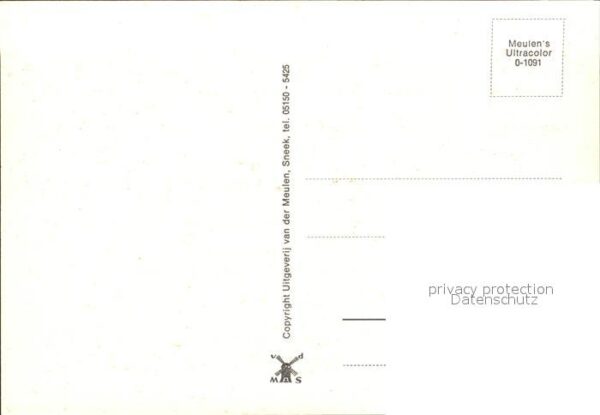 Ruinen Mühle Schafe – Bild 2