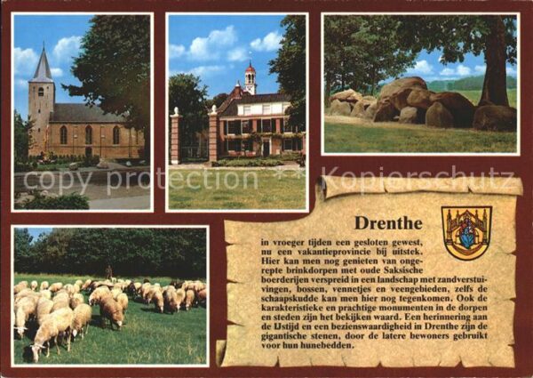 Drenthe Kirche Schafe