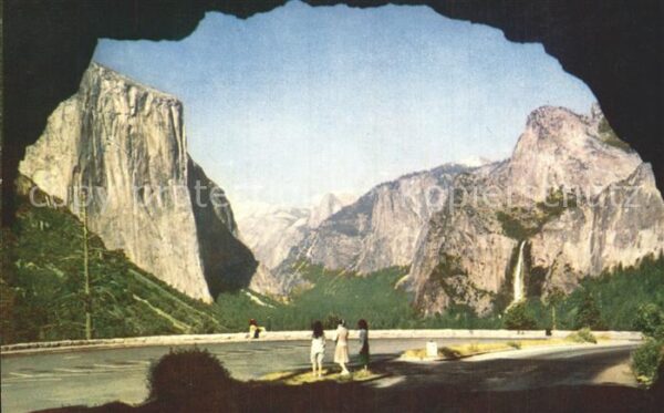 Yosemite National Park Panorama