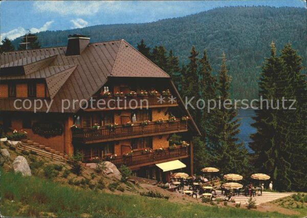 Hinterzarten Hotel Restaurant Alemannenhof am Titise