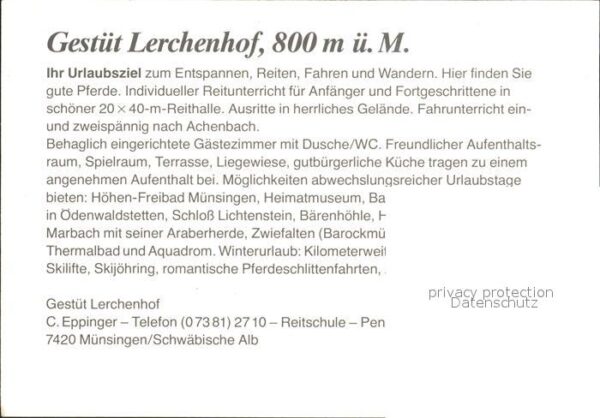 Muensingen Gestüt Lerchenhof Fliegeraufnahme – Bild 2