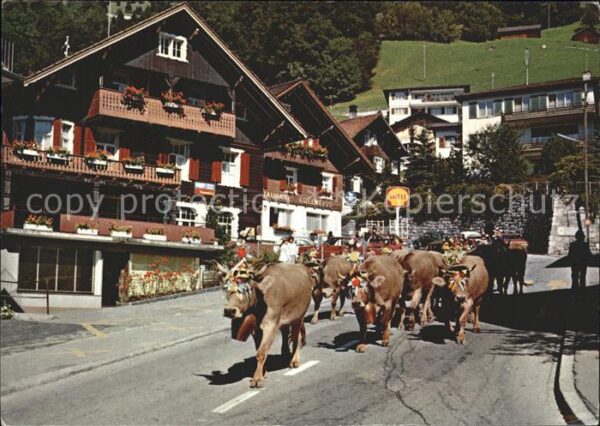 Liechtenstein  Almabtrieb