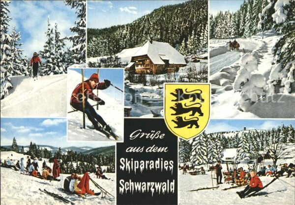 Schwarzwald Ski Pferdeschlitten