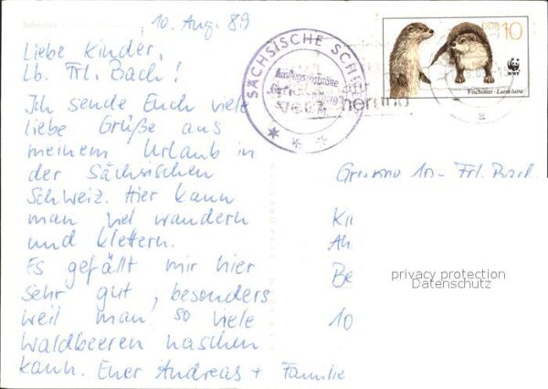 Schmilka Schiff – Bild 2