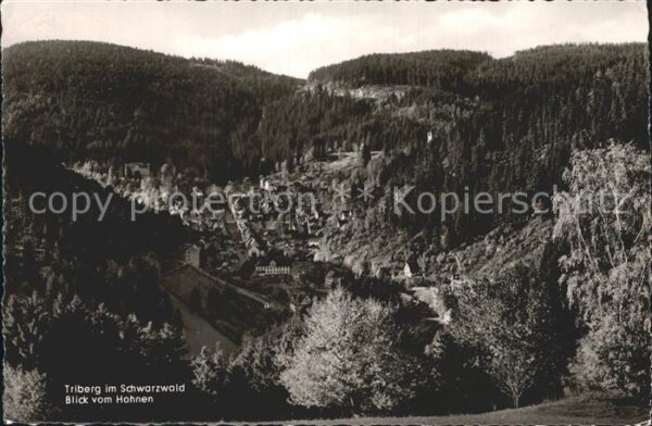 Triberg Schwarzwald Blick vom Hohnen