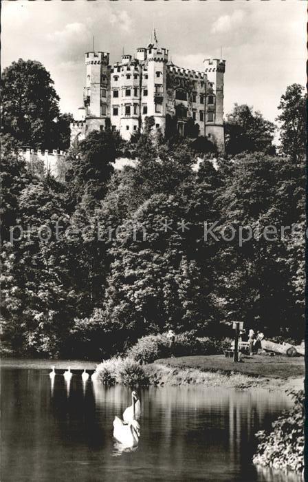 Hohenschwangau Königsschloss Alpsee