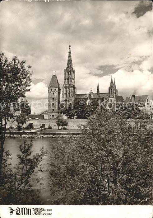 Ulm Donau Münster