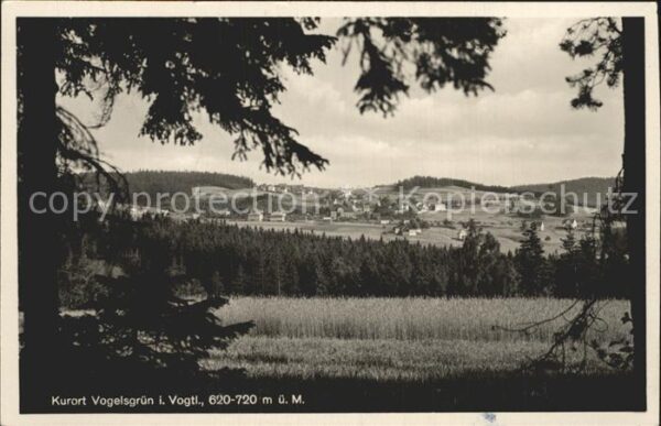 Vogelsgruen Panorama Kurort Blick vom Waldrand aus