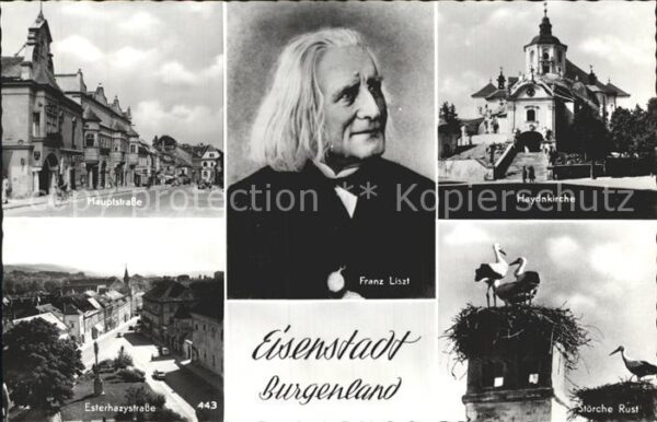 Eisenstadt Hauptstrasse Haydnkirche Störche Esterh