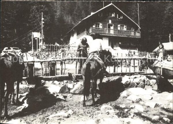 Bulgarien An der Hütte Demjaniza im Pirin Pferde