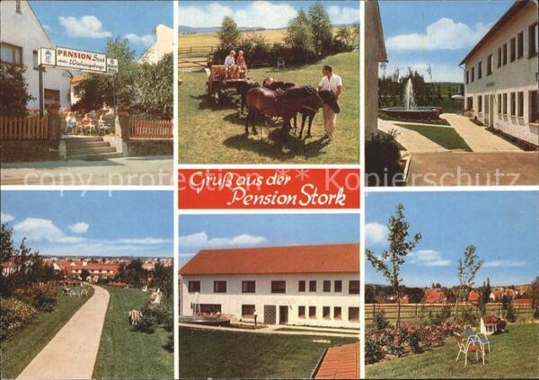 Bad Holzhausen Luebbecke Pension Haus Stork Ponykutsche Garten