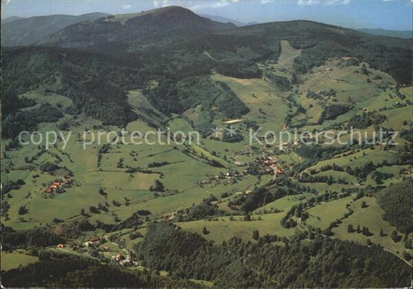 Schoenau Schwarzwald Berghotel Belchenhaus Wissler Berghotel
