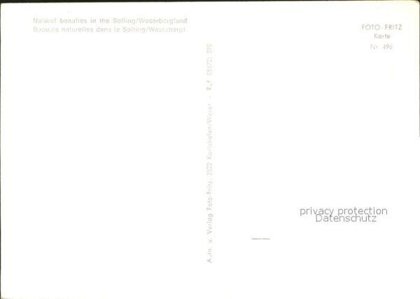 Silberborn Naturschönheiten im Solling Reiherbacht – Bild 2