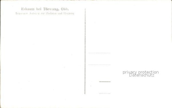 Esbaum – Bild 2