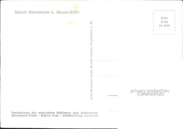 Mayen Fliegeraufnahme Schloss Bürresheim – Bild 2