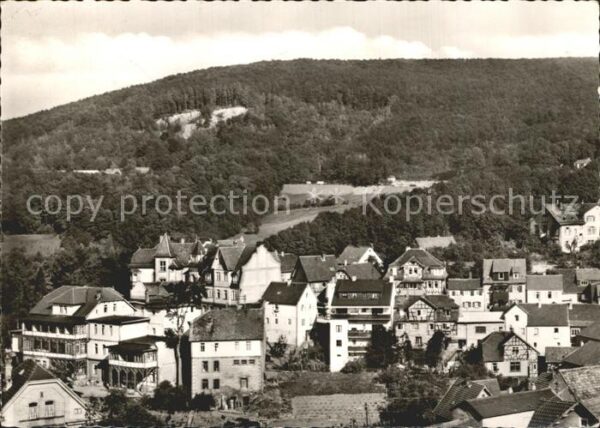 Lindenfels Odenwald Blick von der Burg