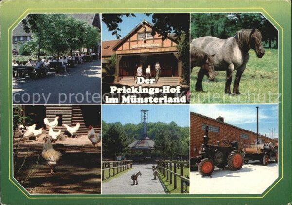 Sythen Europahof Prickings Hof Bäuerliche Tier