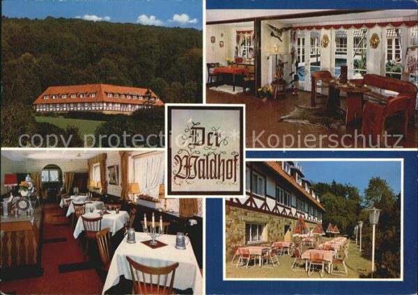 Bad Eilsen Hotel Der Waldhof Halle Gastraum Terras
