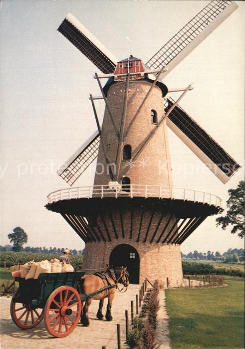 Wildert Windmühle