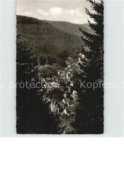 Bad Liebenzell Teilansicht