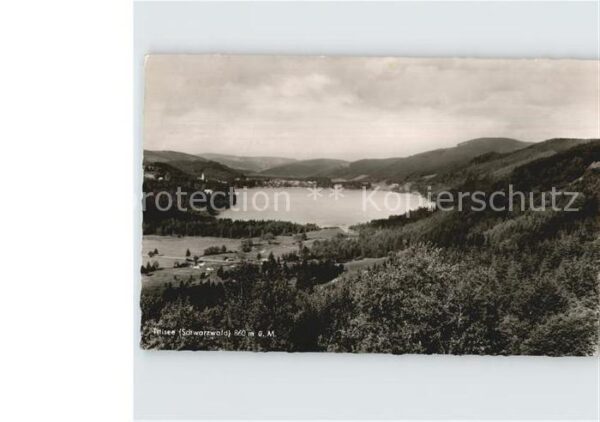 Titisee Panorama