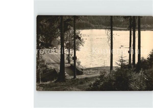 Jaegersgruen Vogtlandsee oder Moorteich