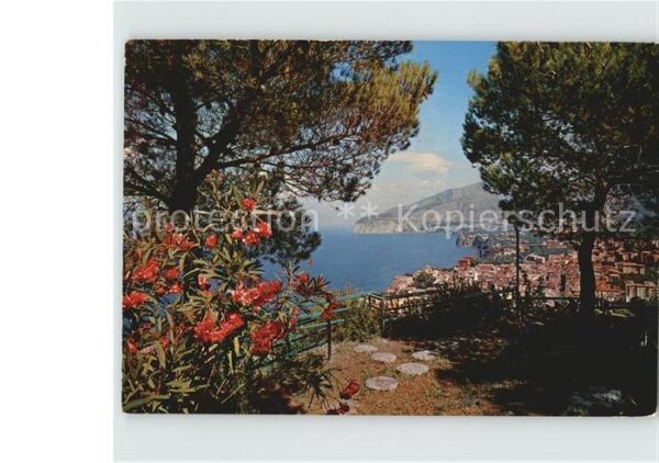 Sorrento Campania Panorama