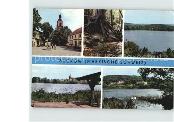 Buckow Maerkische Schweiz Am Markt Wurzelfichte Schermützelsee Bu