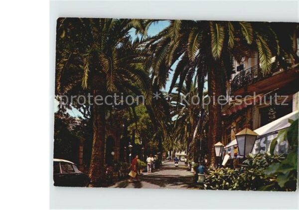 ALASSIO Savona Liguria IT Palmenallee