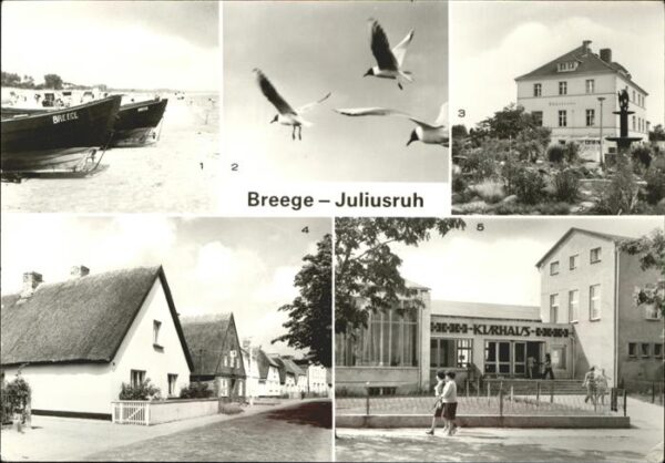 Breege Juliusruh Möwen Dünenhaus Kurhaus