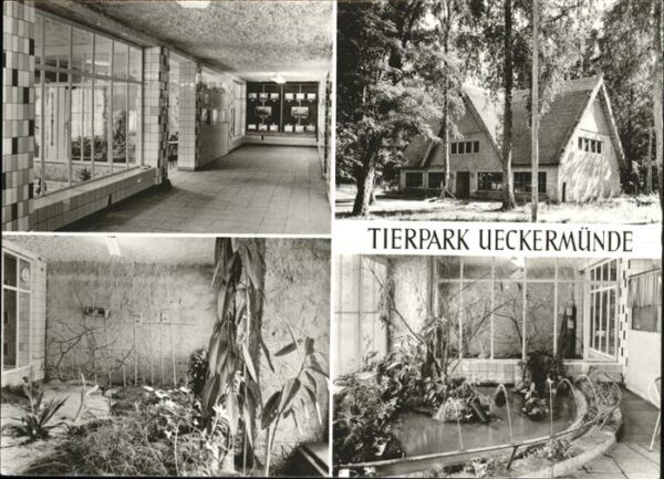Ueckermuende Tierpark Vivarium