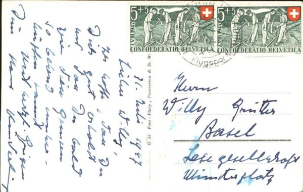Reh Gemsrudel Schweiz – Bild 2