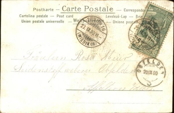 Tauben Rosen Gedicht Chamisso – Bild 2