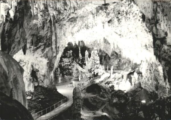 Hoehlen Caves Grottes Postojna Slowenien