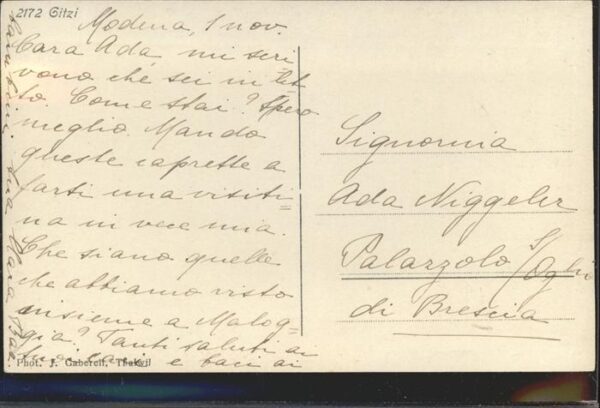Ziege Gitzi Modena – Bild 2