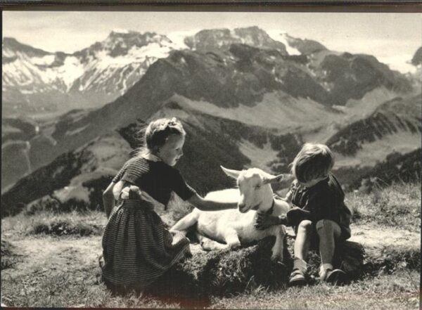 Schafe Kinder Schweiz