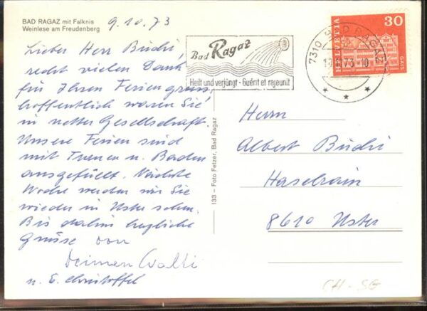Ernte Landwirtschaft Weinlese Freudenberg Bad Ragaz – Bild 2