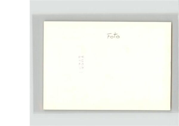 Kuehe – Bild 2