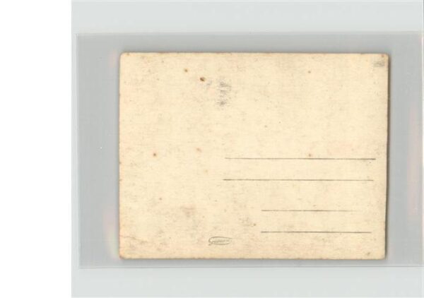 Kuehe – Bild 2