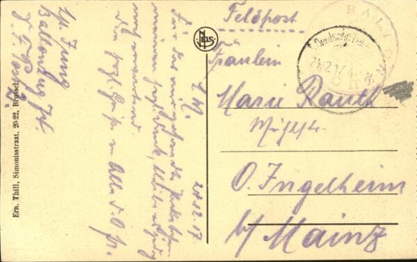 Gand Belgien Gent Panorama St. Baafskerk – Bild 2