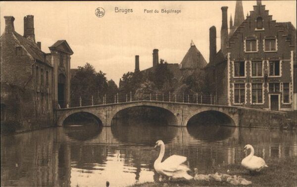 Bruges BRUGGE Belgie Pont du Beguinage Schwäne