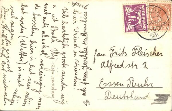 Ginneken Berkendreetje Mastbosch – Bild 2