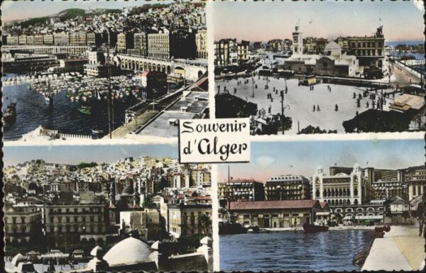 Alger Algerien Mustapha Superieur Place du Gouvernemen